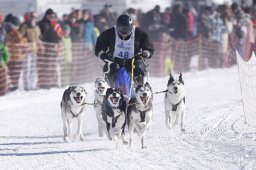Lenk 2013